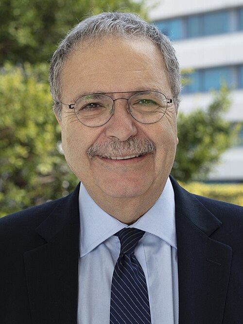 Tarek Mitri
since 8 February 2025